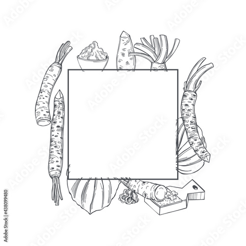 Wasabi, root and leaves. Vector frame.