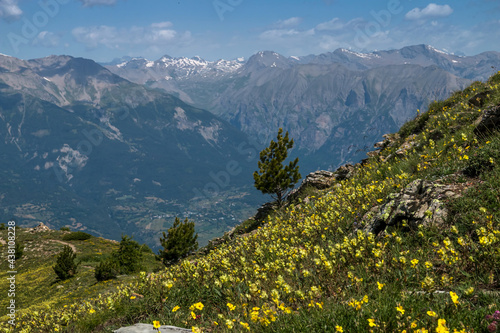 Paysage de l' Embrunais , vue sur le Grand Pinier depuis le sommet du Méale  , Hautes-Alpes , France