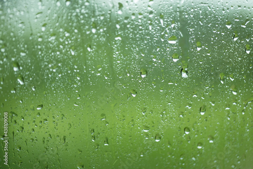 Rain drops on window with green tree in background