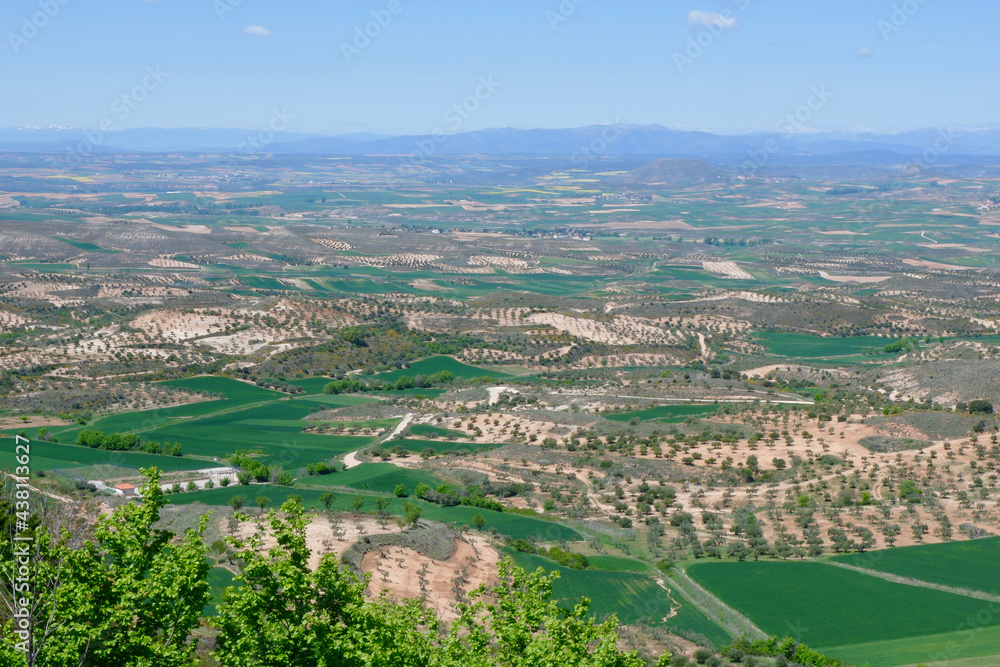 Variety of agricultural fields at spring time in ‎⁨Trijueque⁩, ⁨Guadalajara, Castille-La Mancha⁩, ⁨Spain⁩