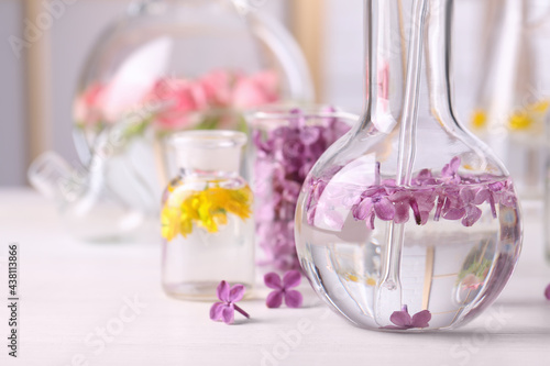 Laboratory glassware with flowers, focus on flask. Extracting essential oil for perfumery and cosmetics