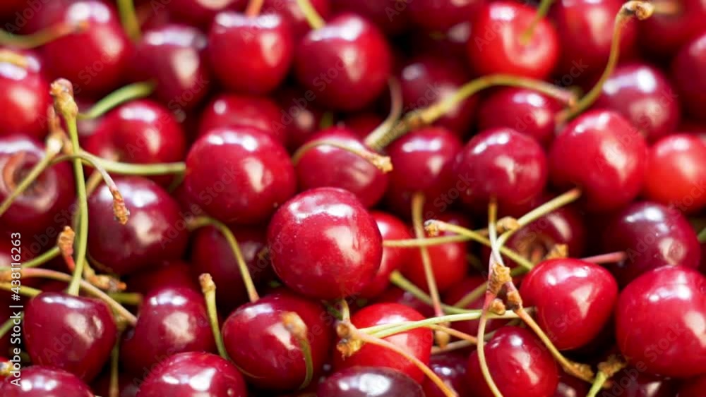 Ripe Cherries, Juicy Summer Berries, Macro, Spin. Background of Cherry Berries. Cherry Berries Are Isolated. Fresh Cherry Harvest. Healthy Vegan Food and Vegetarian Vitamin Diet. Ripe Cherries, Juicy Summer Berries, Macro, Spin. Background of Cherry Berries. Cherry Berries Are Isolated. Fresh Cherry Harvest. Healthy Vegan Food and Vegetarian Vitamin Diet.