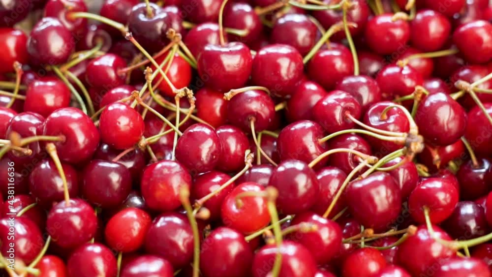Ripe Cherries Close-up. Cherry Berries Are A Fresh Crop. Background of Cherry berries. Cherry Berries on The Counter Of The Market, Shop. Ripe Cherries Close-up. Cherry Berries Are A Fresh Crop. Background of Cherry berries. Cherry Berries on The Counter Of The Market, Shop.