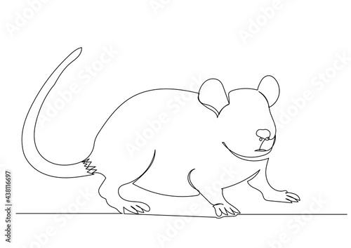 mouse, rat one continuous line drawing isolated, vector © zolotons