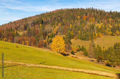 autumn landscape near saddle Beskyd in Slovakia