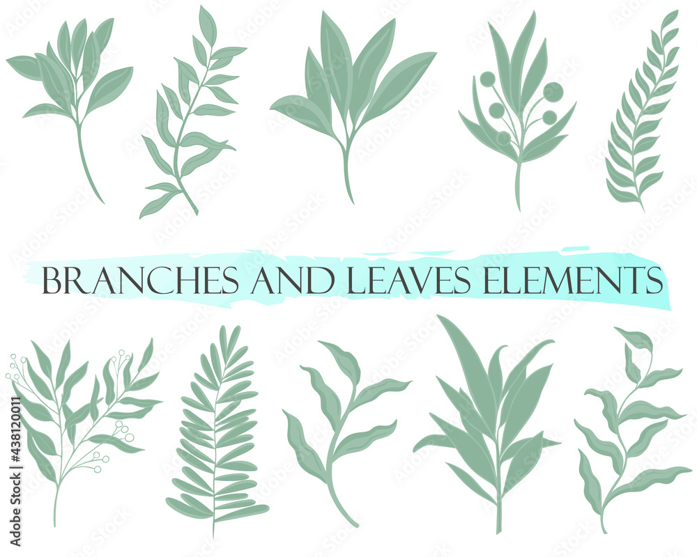 Set of natural botanical elements, vector. Green branches, design elements. Graceful deciduous parts. Hand drawing.