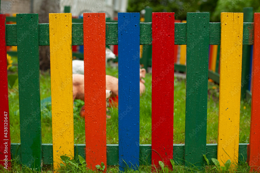 Colored wooden fence made of boards. The fence is painted in different