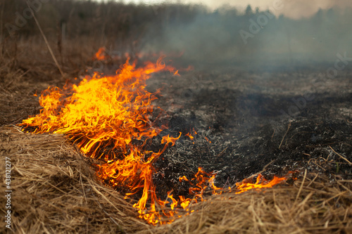 Dry grass is burning. Fire in the field in spring.