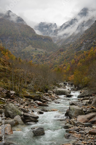 Swiss Alps Valley with river between colorful trees and leaves, at cloudy weather at Ticino Valle Maggia, Maggiatal