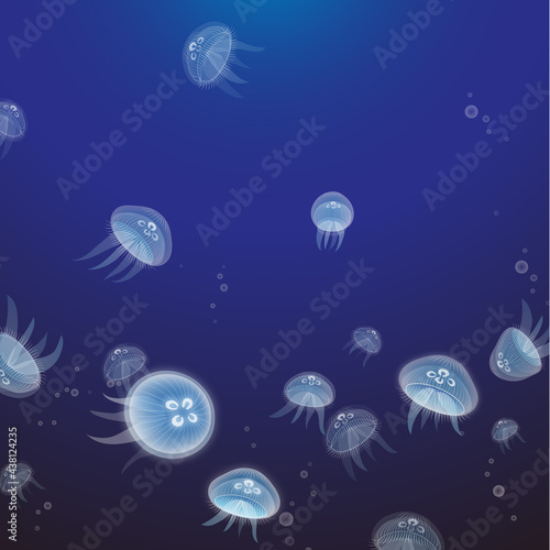 クラゲの漂う海