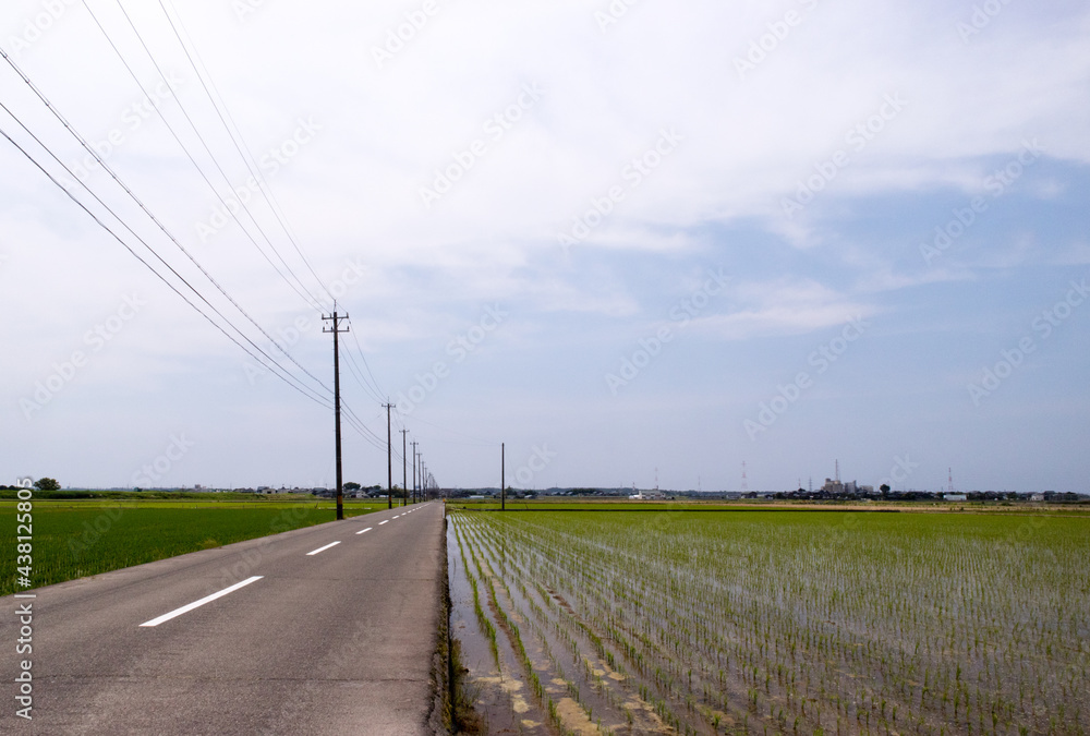 電柱と緑豊かな田園風景