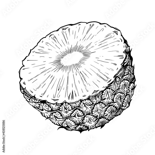 Half a pineapple. Hand drawn vector illustration isolated on white background.