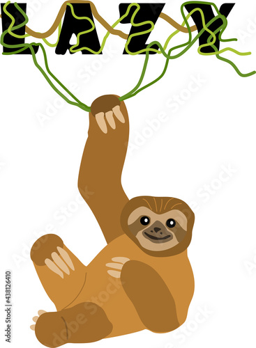 Image of lazy hanging sloth
