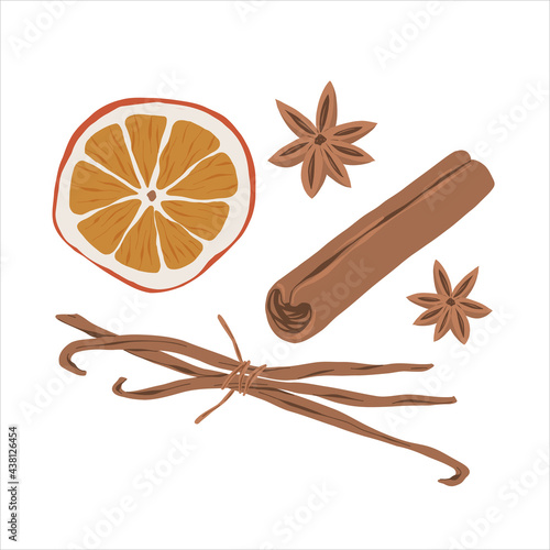 Cinnamon, anise star, vanilla and dried orange slice spice set, hand drawn illustrations of seasoning, mulled wine ingredients, realistic detailed vector drawing isolated