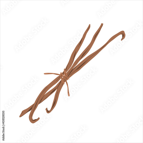 Vanilla sticks, bunch of dried bourbon vanila pods with beans, hand drawn illustration, detailed realistic art, colored vector clipart isolated