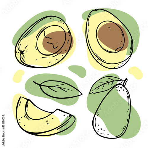 AVOCADO FRUIT Delicious Tropical Fruit Whole And Slices With Leaves For Design Of Organic Natural Products Shop For Paleo Diet In Sketch Vector Illustration Set