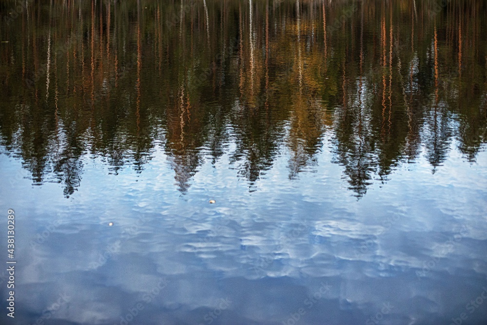 Reflection Reflection
