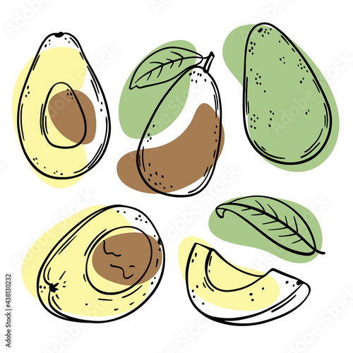 AVOCADO Delicious Tropical Fruit Whole And Slices With Leaves For Design Of Organic Natural Products Shop For Paleo Diet In Sketch Style Vector Illustration Set