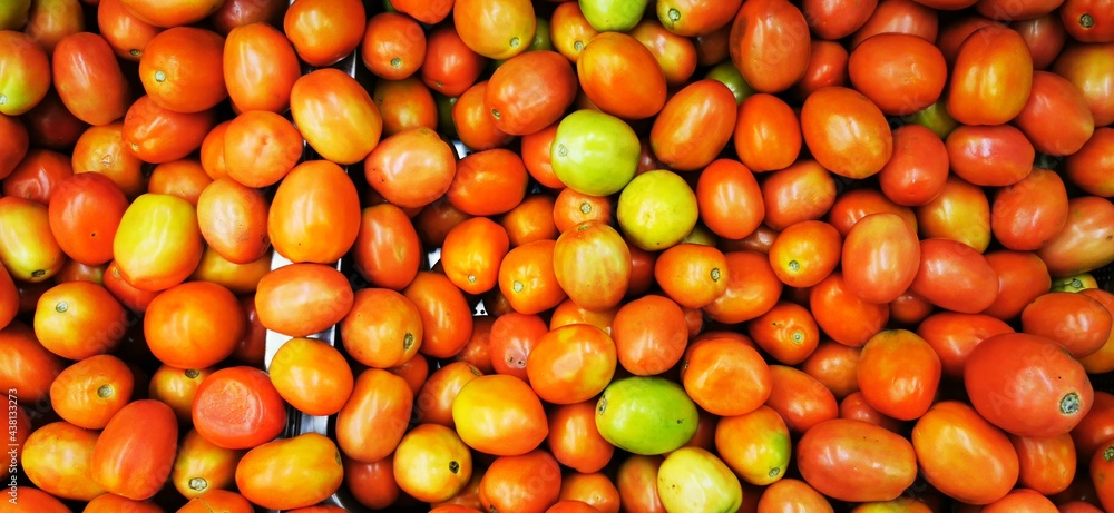 Group of Tomatoes fruit background image.