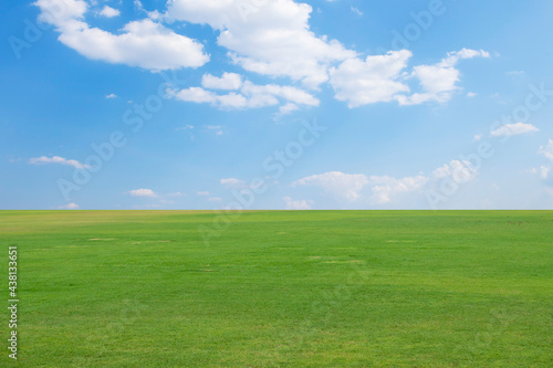 Lawn and sky. Creative background.