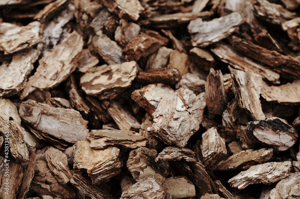 Pieces of wood. Firewood. Wooden texture Pieces of wood. Firewood. Wooden texture