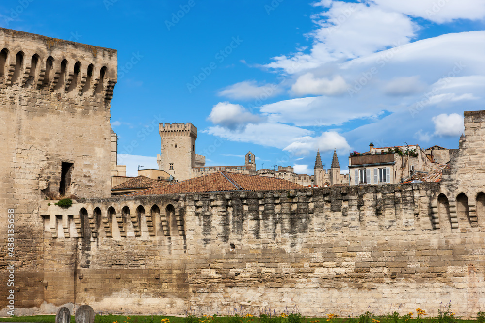 Fototapeta premium View of historic center and Papal Palace of Avignon town. France