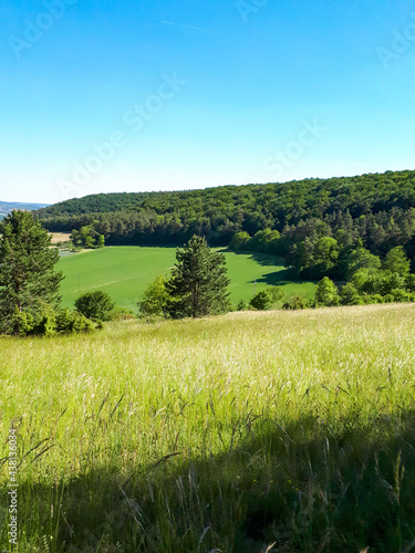 Vertical shot of green rural landscape with grass and trees against blue sky in summer in Germany