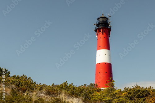 a red and white striped lighthouse stands on a dune  in the foreground you can see beach grass growing. a lighthouse stands against a bright blue sky with light white veil clouds.