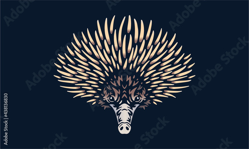 echidna on black background