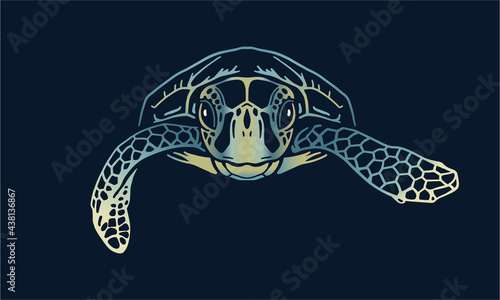 Obraz na płótnie green-sea-turtle on black background