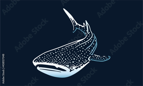 whale-shark on black background