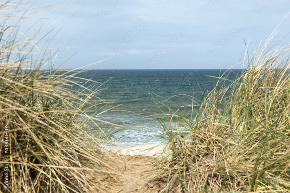 Beach and dunes with beach grass in summer on the North Sea Sylt, Germany. 