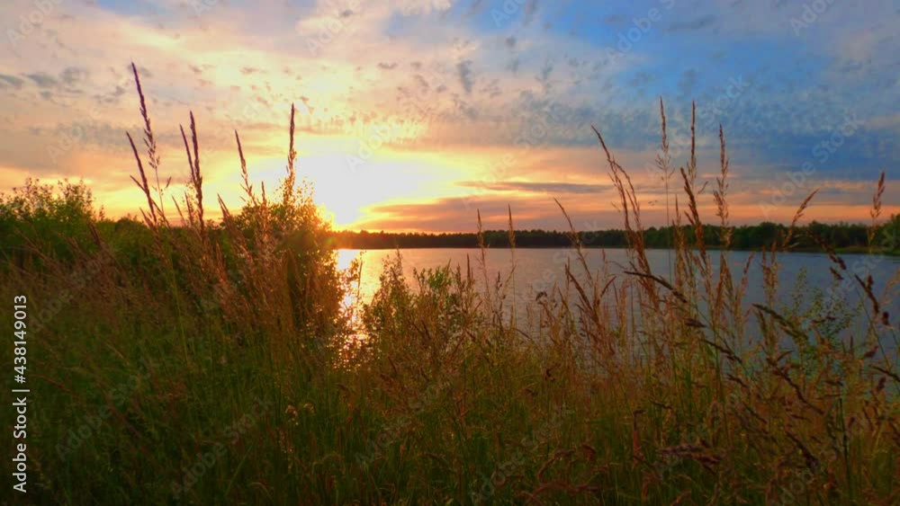 Landscape with long grass waving in the wind on a background of beautiful sky after sunset over lake . High quality 4k footage Landscape with long grass waving in the wind on a background of beautiful sky after sunset over lake . High quality 4k footage