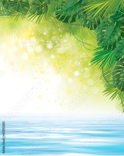 Vectot tropical background. Exotic leaves  and water  summer background.