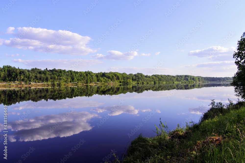 reflection of trees in water reflection of trees in water