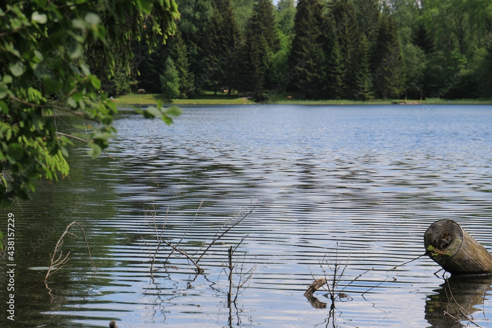 Fototapeta premium wallpaper for desktop computer