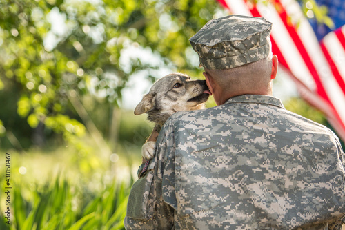 Soldier with military dog outdoors on a sunny day