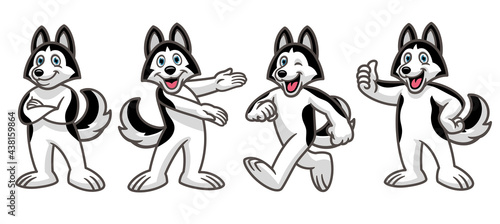 set cartoon of husky dog mascot character © bazzier
