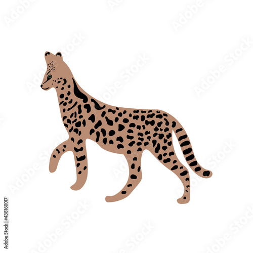 Leopard or cheetah exotic animal.  Cute cartoon character. Vector wild cat  isolated on white background. Perfect for kids app  game  book  print  cards  sticker.