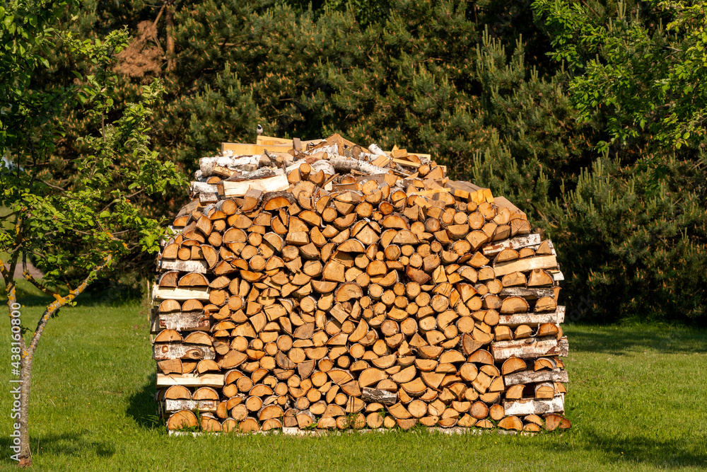 Stack of firewood getting dried on sunny summer day