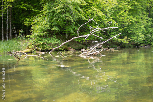 The cleanest river in Poland - Krutynia, polish Masuria lake district, nature reserve. photo