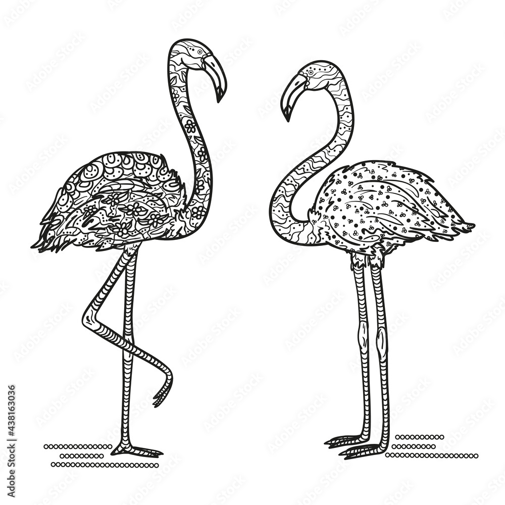 Obraz premium Flamingo. Detailed hand drawn birds with abstract patterns on isolated background. Design for spiritual relaxation for adults. Black and white illustration for coloring. Print for t-shirts. Zentangle
