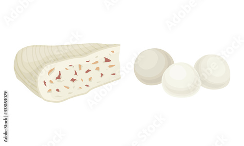 DifferenDifferent Cheese as Dairy Product Made from Milk Vector Sett Cheese as Dairy Product Made from Milk Vector Set