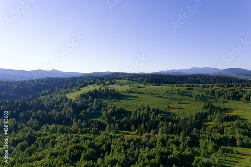 AERIAL: field of spring grass mountain hill at sunny day. Wide green meadow in the foreground. bright green Siberian hills