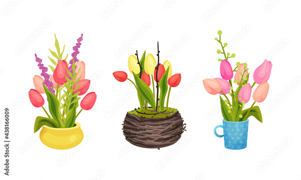 Tulip Flowers Growing in Flowerpot on Garden Bed Vector Set