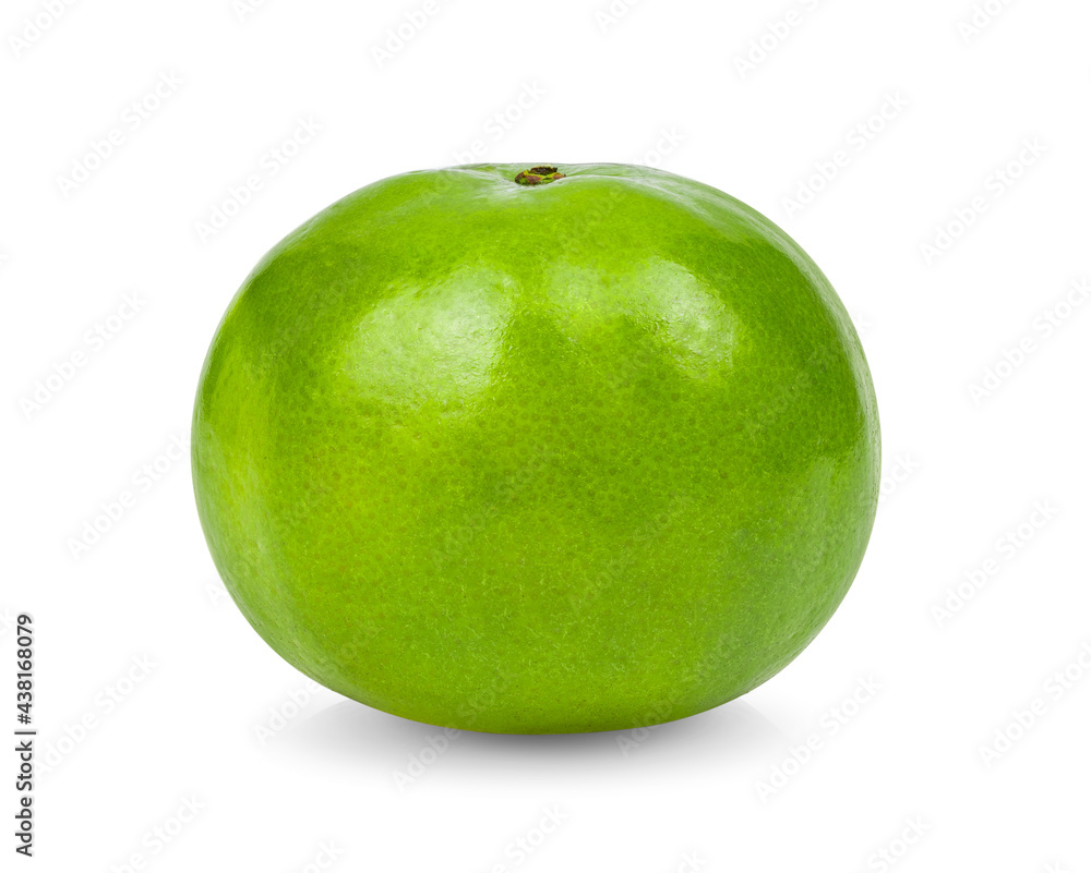 green orange tangerine on white background green orange tangerine on white background