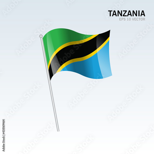 Tanzania waving flag isolated on gray background
