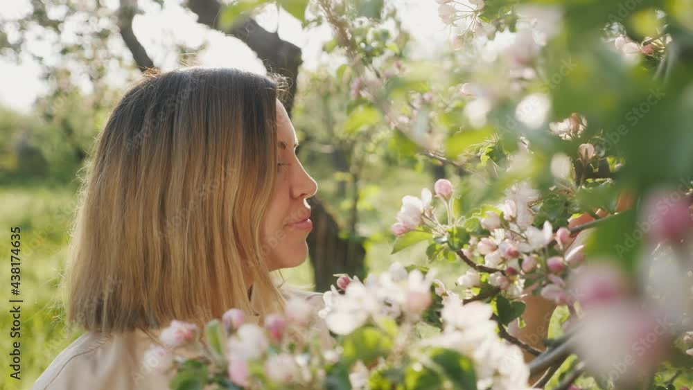 Young woman admiring flowering apple trees in the garden Young woman admiring flowering apple trees in the garden