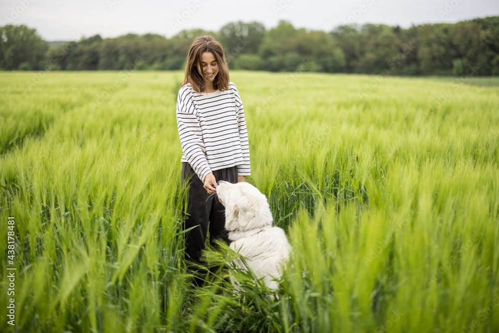 Funny big white sheepdog jumping on green rye field and playing with female owner. Funny big white sheepdog jumping on green rye field and playing with female owner.