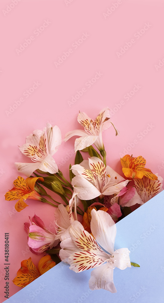 beautiful bouquet of alstroemeria on color background frame